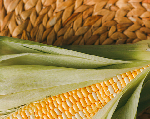 Grain import and export matters