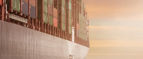 Export trade transaction consultation